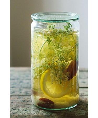 Buy Japanese Water Kefir Grains - Live Probiotics for Kombucha | 50g Crystals - Fast International Shipping - Buy Online on GoSupps.com