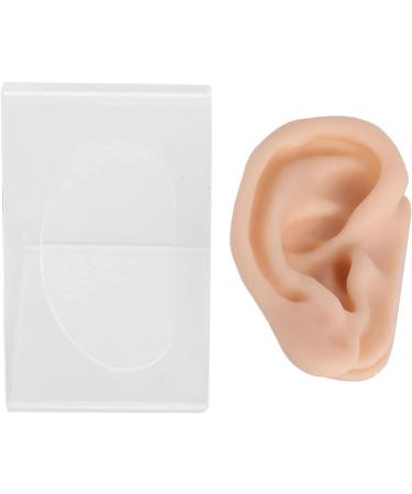 Acupuncture Ear Model - Soft Silicone Fake Ear for Earring Display & Jewelry Training | Ideal for Acupuncture Apprenticeship - Buy Online on GoSupps.com