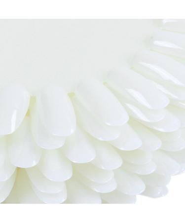 Socueny 10 display Capsule false nail Tips acrylic Transparent varnish - Buy Online on GoSupps.com