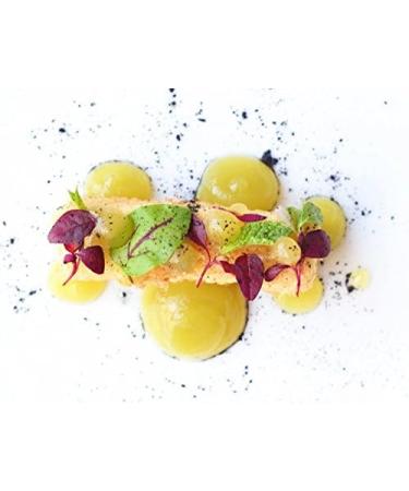 Special Ingredients Agar Agar 1kg Premium Quality Powder Vegan Gelatine European Suitable for Vegan's & Vegetarian's Non GMO Gluten Free Recyclable Container Agar Agar 500 g (Pack of 2) - Buy Online on GoSupps.com