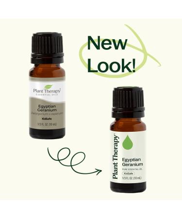 Plant Therapy Egyptian Geranium Essential Oil 30 mL (1 oz) 100% Pure Undiluted Natural Aromatherapy Stress Relief Emotional Balance - Buy Online on GoSupps.com