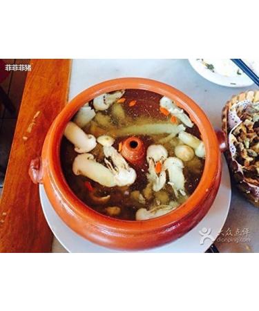 WENXUANSU:1 Pound (454 grams) dried porcini mushroom boletus edulis Premium Grade - Buy Online on GoSupps.com