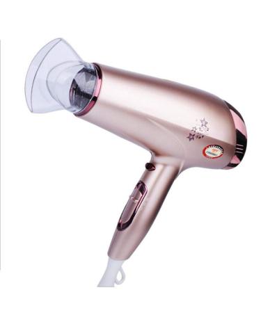 2200W Professional Hair Dryer with Diffuser Nozzles Ionic Salon Powerful Hairdryer AC Motor Fast Blow Dryer with 3 Heat Cool Shot 1.9m Long Cable Quiet Radiation Protection Small Gift