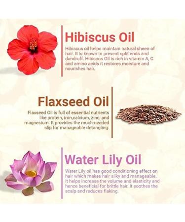 Moha Shampooing base de plantes 100 ml - Buy Online on GoSupps.com