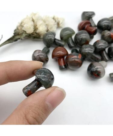 Natural Dragon Blood s Mini Mushroom Shaped Polished QuartzStones Specimen Home Decoration s Can be Used for (Size : 2pcs) ningxiao (Size : 1pc) - Buy Online on GoSupps.com