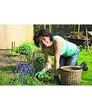 Thera Point Acupressure Tennis Elbow Brace - Relief for Tendonitis & Golfers Elbow - Comfortable Sleeve for Treatment - Men & Women - Large/X-Large - Buy Online on GoSupps.com