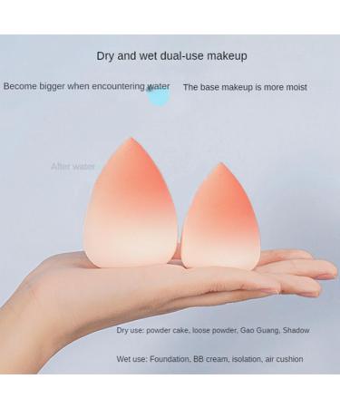 Wsidrnty Cat's Claw Beauty Makeup Egg Gradient Color Makeup Egg Foundation Concealer Makeup Blender - Buy Online on GoSupps.com