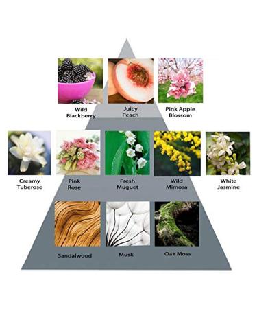 Perry Ellis 360 Purple for Women 8.0 fl oz Body Mist 8 Fl Oz (Pack of 1) - Buy Online on GoSupps.com