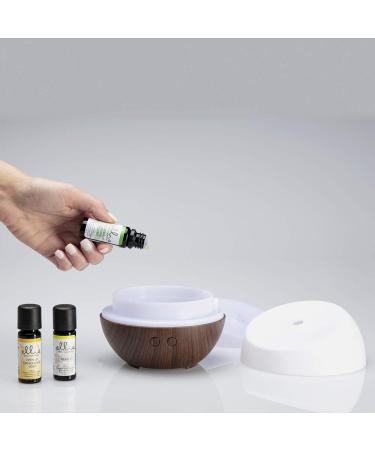 Ellia Essential Oil Set - Breath Deep with Peppermint & Blends | 3 Pack 10ml Essential Oil Kit for Easy Breathing by Homedics - International Shipping - Buy Online on GoSupps.com