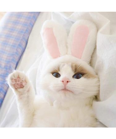 XIMISHOP Cute Costume Bunny Rabbit Hat with Ears for Cats & Small Dogs Party Costume Easter Pet Accessory Headwear - Buy Online on GoSupps.com