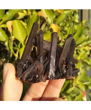 Crystal Rough 90-100g Natural Beautiful Black Quartz Crystal Cluster Tibetan Specimen - Buy Online on GoSupps.com