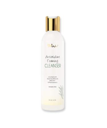 Deluvia Antioxidant Foaming Daily Facial Cleanser & Face Wash Hydrating Gentle Face Cleanser for Sensitive & Dry Skin Moisturizing Face Wash for Women & Men Face Wash for Teens & Kids. (8 fl oz)