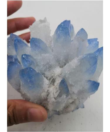 Crystal Rough Natural Crystal Rough Natural Crystal Quartz Stone Cluster Blue White Phantom (Size : 600-700g) - Buy Online on GoSupps.com