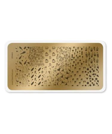 Color Club Drinks Nail Art Stamping Template Tool Kit 12 Designs Nail Plate Manicure Image for Nails