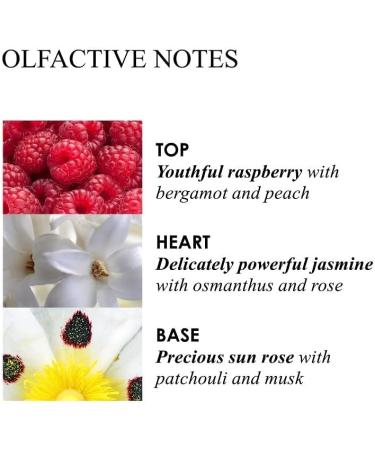 Molton Brown Jasmine & Sun Rose Body Lotion 300 ml New Version - Buy Online on GoSupps.com