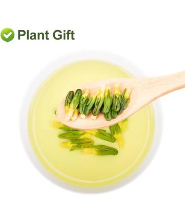 PlantGift Lotus Plumule 125G/4.4oz Medicinal Chinese Herb Lotus Core Dried Bulk Herbs Chinese Health Tea Lotus Tea Bitter Tea - Buy Online on GoSupps.com