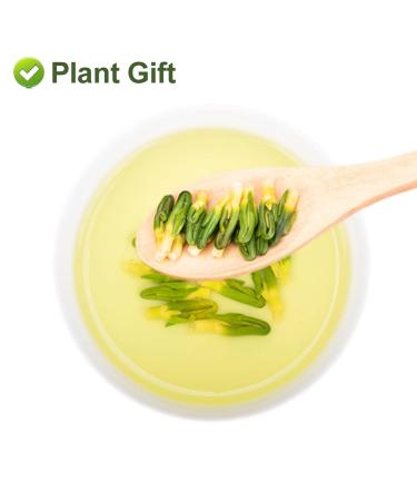 Buy Plantgift Lotus Plumule 100g | Healing Chinese Herb for Health Benefits | Dried Lotus Core & Tea - Buy Online on GoSupps.com