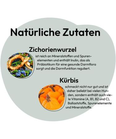 GRAU - the original - Dried vegetables for BARFing for dogs - Vegetable Mix No. 1 (1 x 500 g) - Buy Online on GoSupps.com