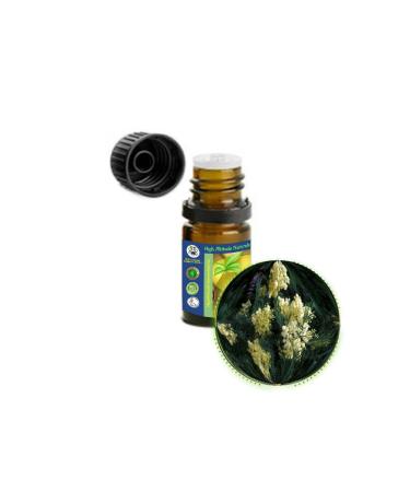HIGH ALTITUDE NATURALS Mimosa Absolute Essential Oil (Acacia Mearnsii) - Pure & Natural Uncut Undiluted - Therapeutic Cosmetic Aromatherapy Perfumery - 5ml (1/6 oz)