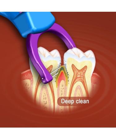 TEEsmile Evolutionary Dental Flossers Kit - 101 Piece Set with Long Handle and 100 Refillable Heads - Buy Online on GoSupps.com
