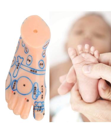 Professional 13cm Foot Acupuncture Model - Acupressure Teaching Tool for Reflexology Practice - Buy Online on GoSupps.com