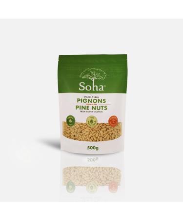 Mediterranean pine nuts Pine Nuts - High Protein Iron Fiber - 1 Pack (500g)
