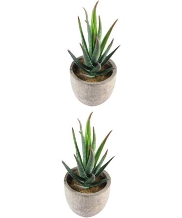 MAGICLULU 2pcs Faux Plant Simulation Plant Small Succulent Plants Home D cor Succulent Simulation Succulents Arrangements Suculentas Artificial Plants Decorative Plants Mini Cactus - Buy Online on GoSupps.com