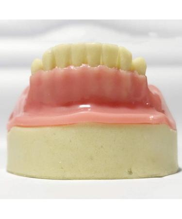 DYTAH Dental Implant Teeth Model - Lower Jaw 6 Teeth for Dental Students | Soft Gum Teeth Teaching Aid - Buy Online on GoSupps.com