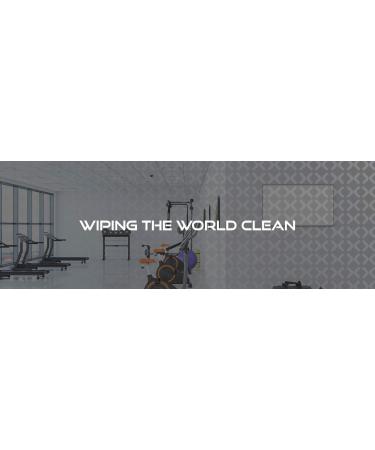 Buy Antiseptic Sanitizing Wipes 180 Count - Effective Germ Protection | Fast International Shipping - Buy Online on GoSupps.com