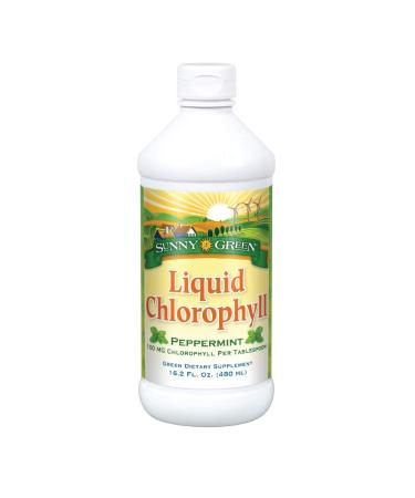 Sunny Green Liquid Chlorophyll Peppermint 100 mg 16.2 fl oz (480 ml)