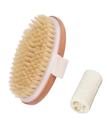 YingRen Bath Brushing Body Brush- Best for Exfoliating Dry Skin-Lymphatic Drainage/Cellulite Treatment Massage Brush + Natural Loofah Brush White