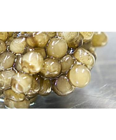 Oscietra/Asetra Caviar 250 gr - Buy Online on GoSupps.com