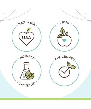 HerbEra American Ginseng B60 Alcohol-Free Herbal Extract Tincture, Concentrated Liquid Drops Natural American Ginseng (Panax Quinquefolius) (2 fl oz) 2 Fl Oz (Pack of 1) - Buy Online on GoSupps.com