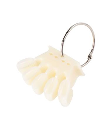 Mikinona 1 Set Demonstration Color Board Nail Art Tool Color Model Nail Color Display Tips Nail Polish Color Display Ring Nail Polish Rack Nail Color Display Sticks Manicure Tools Size 1 As Shown