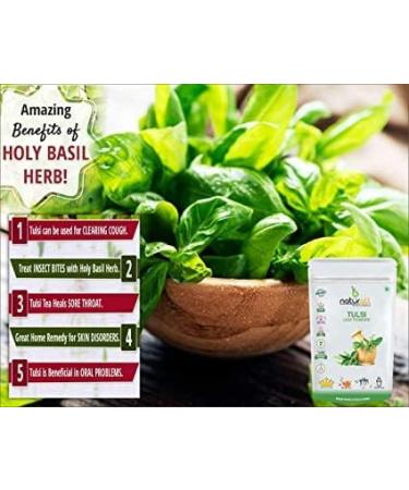 SHN Pack of 2 Tulsi Powder Giloy Powder (100 GM Each) Combo Pack 200 GM By B Naturall - Buy Online on GoSupps.com