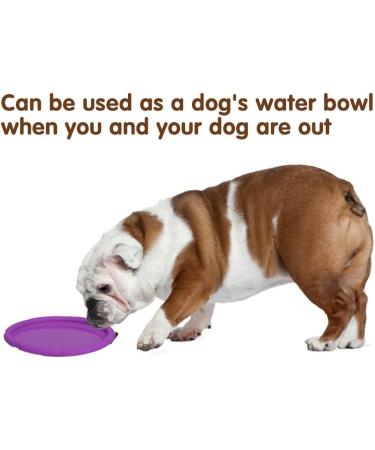 Buy Vivifying Frisbee Dog - 2 Pack 18 cm Natural Rubber Frisbees for Land & Water | Green & Purple - International Shipping Available - Buy Online on GoSupps.com