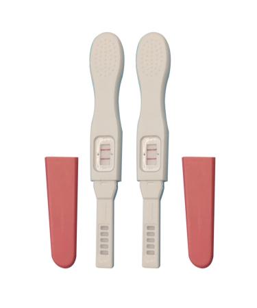 Douce Positive pregnancy test fake positive pregnancy test |Fake pregnancy test positive for the April Fool's joke (2 pieces)