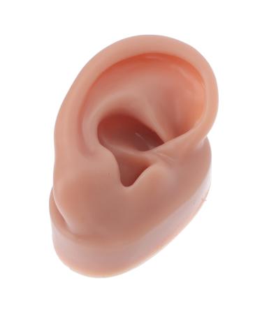 Minkissy silicone-human- right ear model: fake ear model- body part ads ear piercing model for acupuncture human model simulation coffee 6.5x3.5 cm.