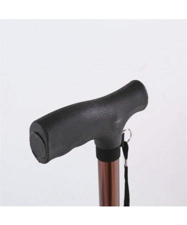 Walking Stick with Crutches Poles -with Small 4 Leg Base- Easy and Smart Adjustable Walking Stick- Lightweight Aluminum Walking Stick Made of Stainless Steel Vision - Buy Online on GoSupps.com