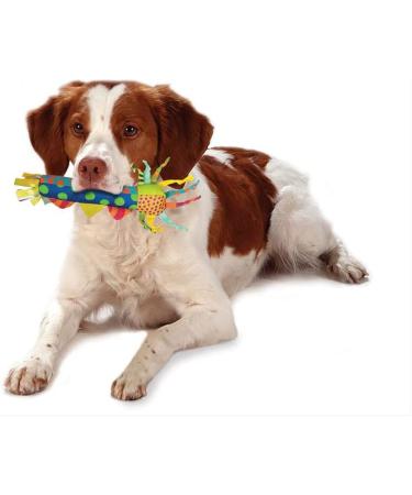 Petstages Dental and Teething Dog Chew Toys - Teething Stick - Buy Online on GoSupps.com