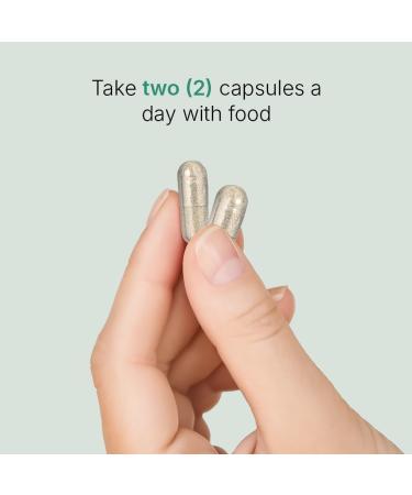 Santo Remedio Super Nopal Cactus Capsules with Chia Prickly Pear Supplement Gluten Free Non-GMO No Added Sugar 120 Capsules (60 Servings) Wellness Support Gift for Family - Buy Online on GoSupps.com