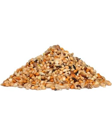 Complete Food for Budgies - 3 kg Pack | Premium Nutrition for Happy Healthy Birds - International Shipping Available! - Buy Online on GoSupps.com