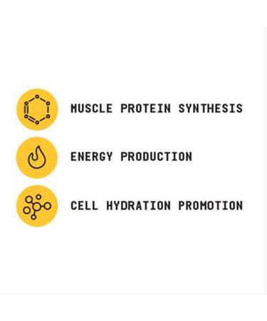 Beyond Raw Chemistry Labs Creatine HCl Powder - 60 Servings | Enhances Muscle Performance - Buy Online on GoSupps.com