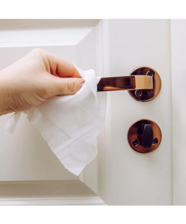 Whitney Large Floor/Surface Lemon Wipes | Pack of 20 x 10 1 count (Pack of 1) - Buy Online on GoSupps.com