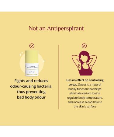 Natural Deodorant Roll On - Citrus Sea | Aluminum & Alcohol-Free | Reduces Dark Underarms & Odor | Pack of 2 for Women | Non-Sticky | 1.69 Fl Oz - Buy Online on GoSupps.com