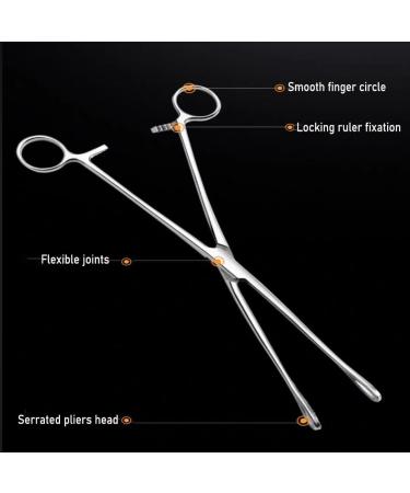 JNAWA Reptile Feeding Clip Pet Raising Feeding Tool Reptile Terrarium Stainless Steel Tongs Tweezers for Snake Lizard Reptile Animal - Buy Online on GoSupps.com