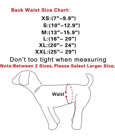 JoyDaog Jean Belly Bands for Small Dogs - Reusable Diapers XS (7-9 Waist) - 3 Pack - Buy Online on GoSupps.com