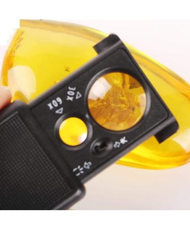 Portable Magnifying Glass 30X 60X Mini Handheld Reading Magnifier Small Portable Illuminated Magnifying Glass Jewelers Loupe with UV Black Light for Coin and Stamp Appraisal Counterfeit Detecti Good - Buy Online on GoSupps.com