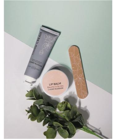 Body Collection Cherry Blossom Travel Mug Gift Set - Multicolor Modern Design Perfect for International Shipping - Buy Online on GoSupps.com