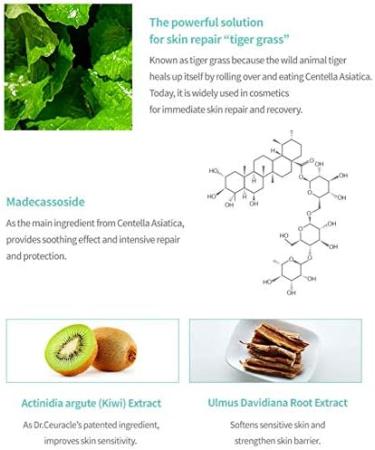 Buy Dr.Ceuracle CICA Regen 92 Toner - Soothing & Hydrating | International Shipping Available - Buy Online on GoSupps.com